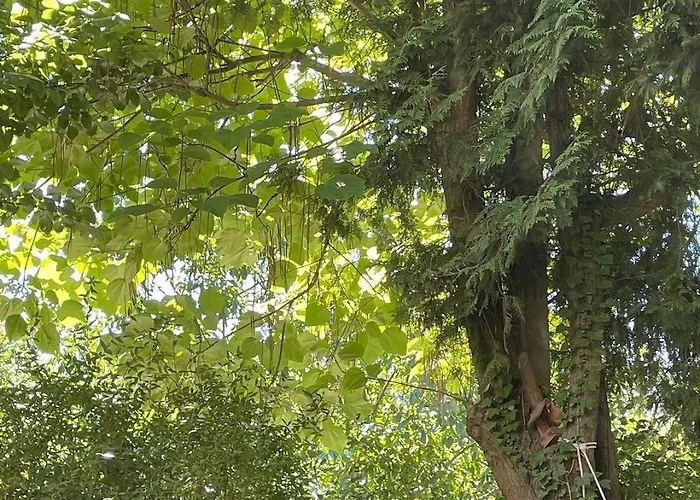 Hacjenda Kiekrz Villa