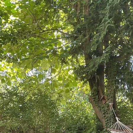 Hacjenda Kiekrz Villa